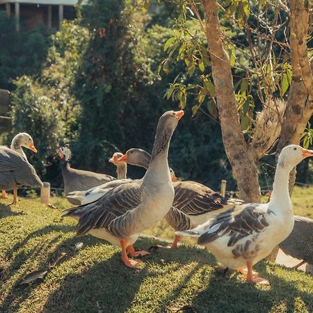 Hotel Chales Capitanias Águas de Lindóia Bagian luar foto